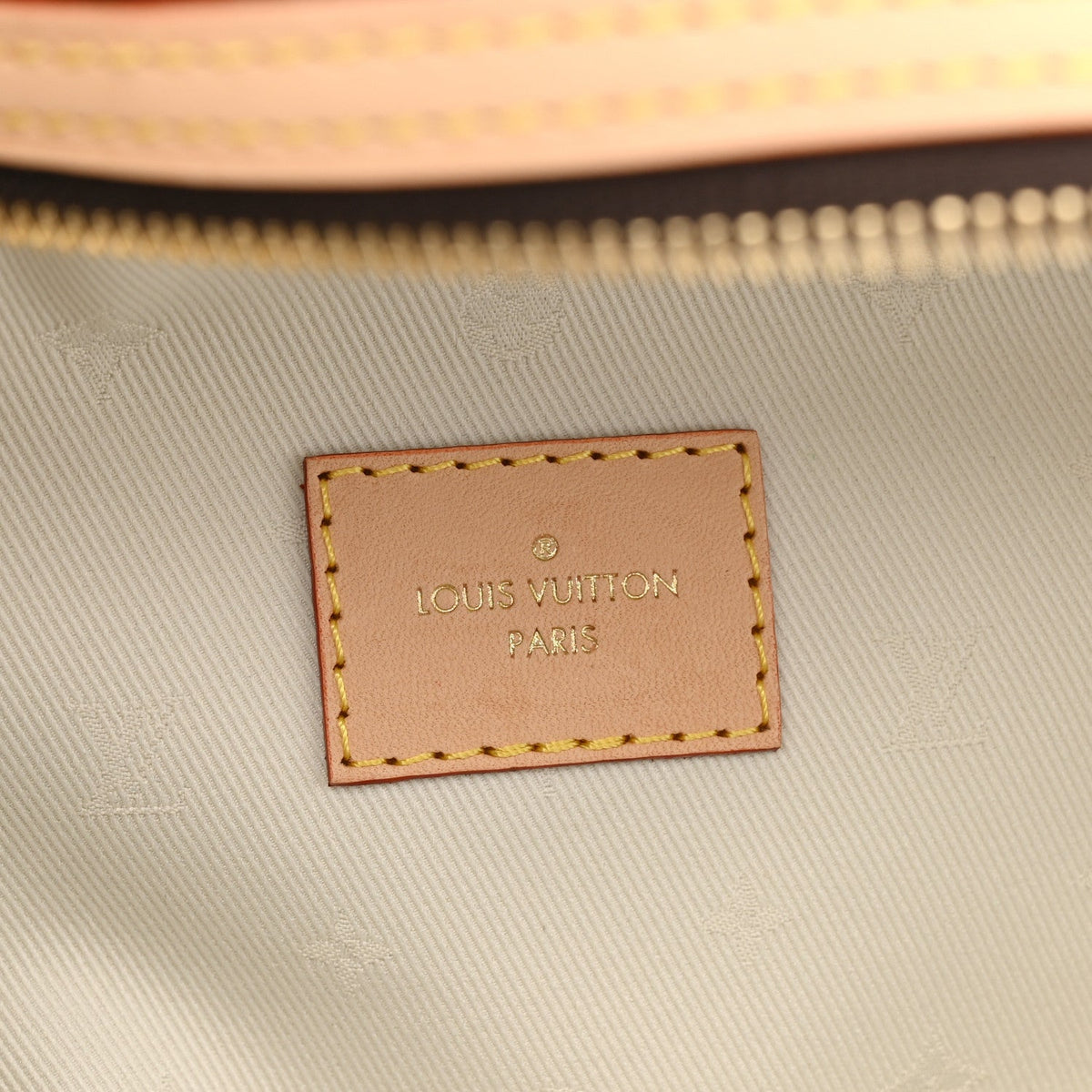Louis Vuitton Monogram High Rise Bumbag