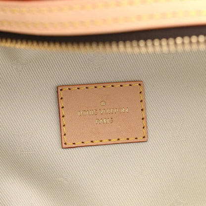 Louis Vuitton Monogram High Rise Bumbag