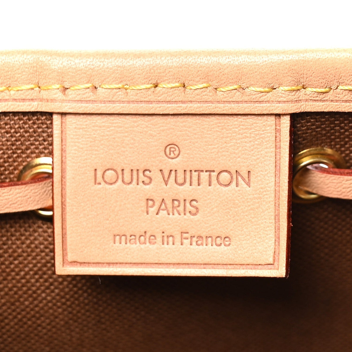 Louis Vuitton Monogram Nano Noe