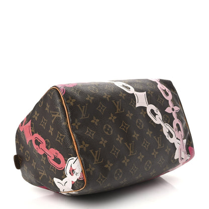 Louis Vuitton Monogram Canvas Speedy 30 Rose Ballerine Poppy