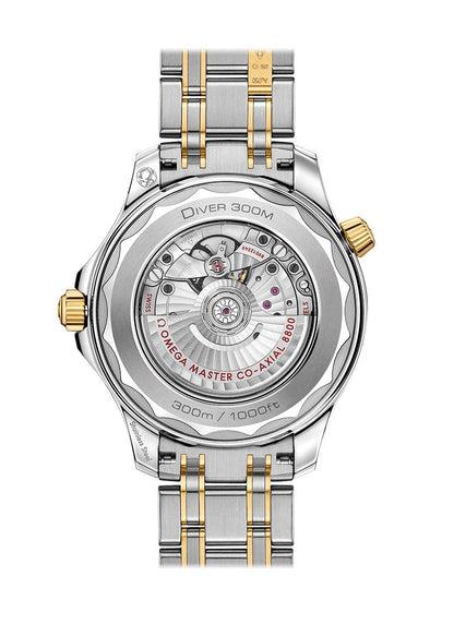 OMG Seamaster DIVER 300M CO‑AXIAL MASTER CHRONOMETER Ref# 210.20.42.20.01.002