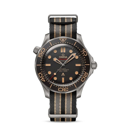 OMG Seamaster Ref. # 210.92.42.20.01.001