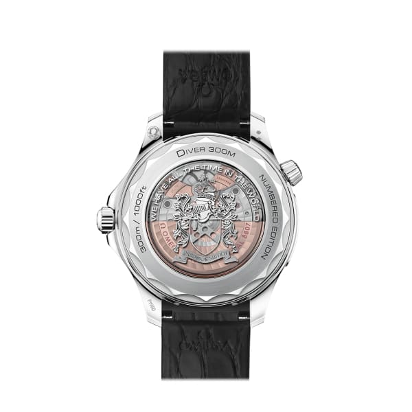 OMG Seamaster Ref. # 210.93.42.20.01.001