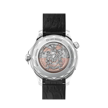 OMG Seamaster Ref. # 210.93.42.20.01.001
